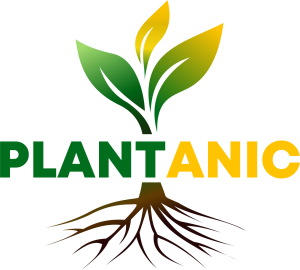 PLANTANIC